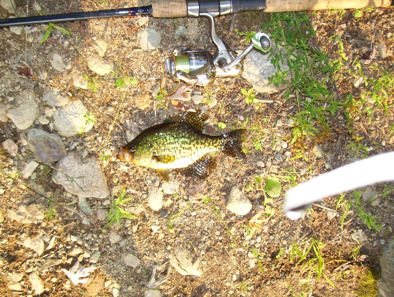 8/4/09 - Sudbury River