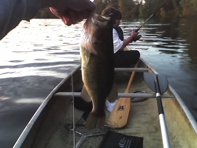 Farm Pond - Canoe