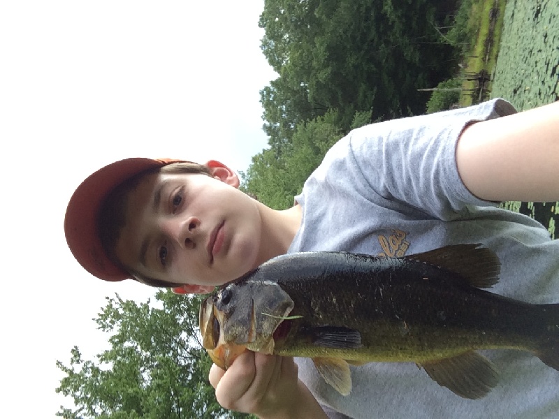 Largemouth Bass